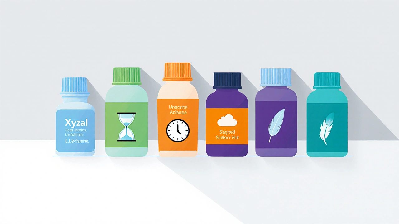 Five colorful antihistamine bottles displayed with visual cues for onset speed and sedation level.